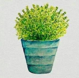 Meet your Posher, Cori